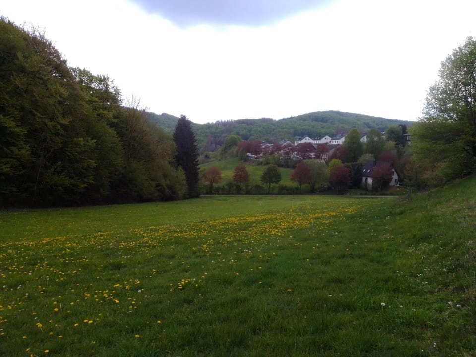 Lavender Hill Apartment in Hochsauerlandkreis