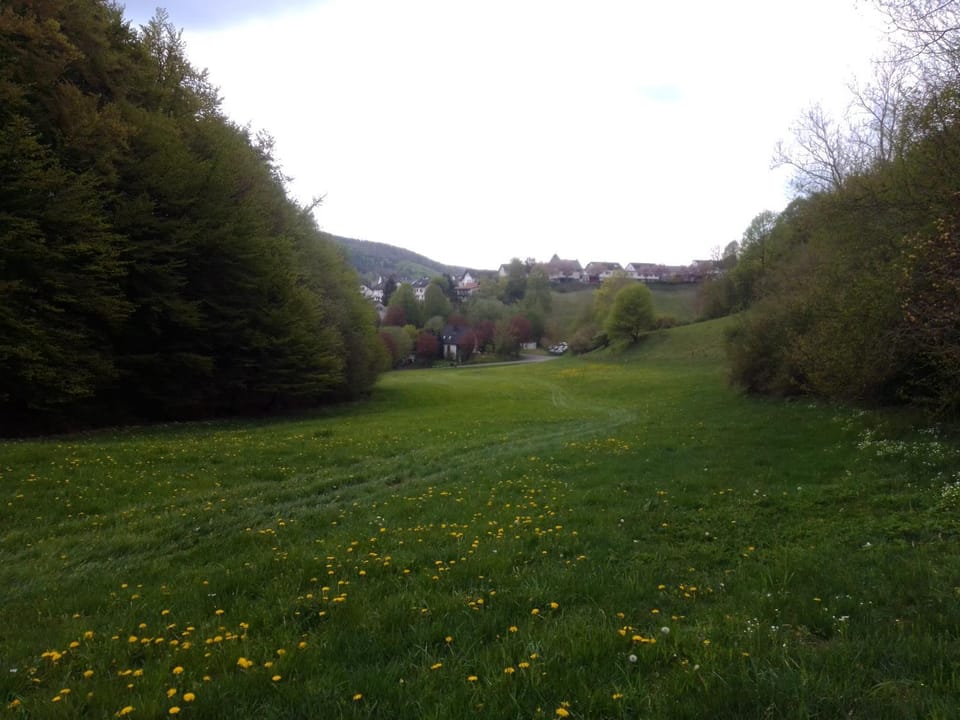 Lavender Hill Apartment in Hochsauerlandkreis