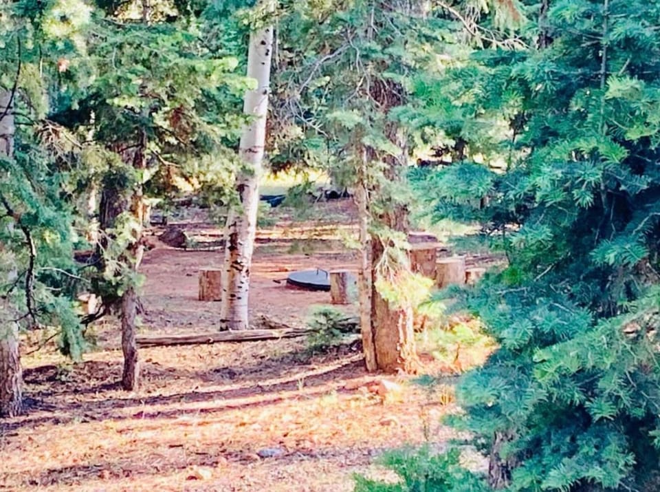 Adventure Awaits 3King Bed,2Bath Log Cabin in heart of Duck Creek Village! Cabin in Utah