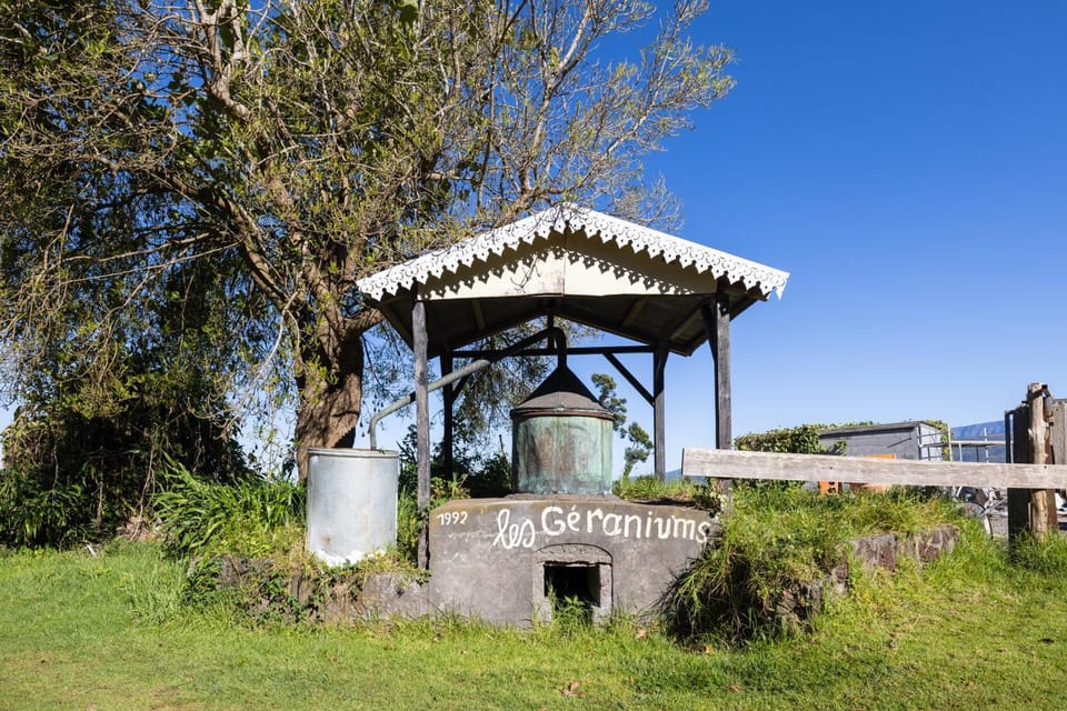 Natural landscape, Garden, Garden view