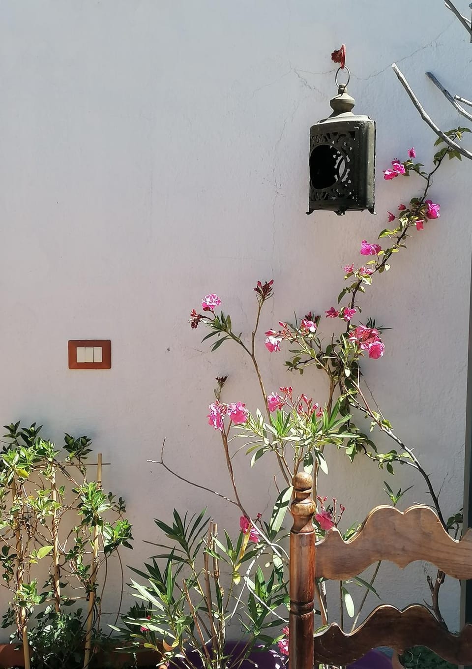 B&B CasaCorì Bed and Breakfast in Orosei