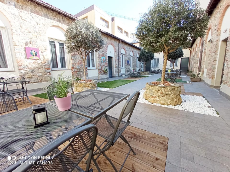 Garden, Garden view, Garden view
