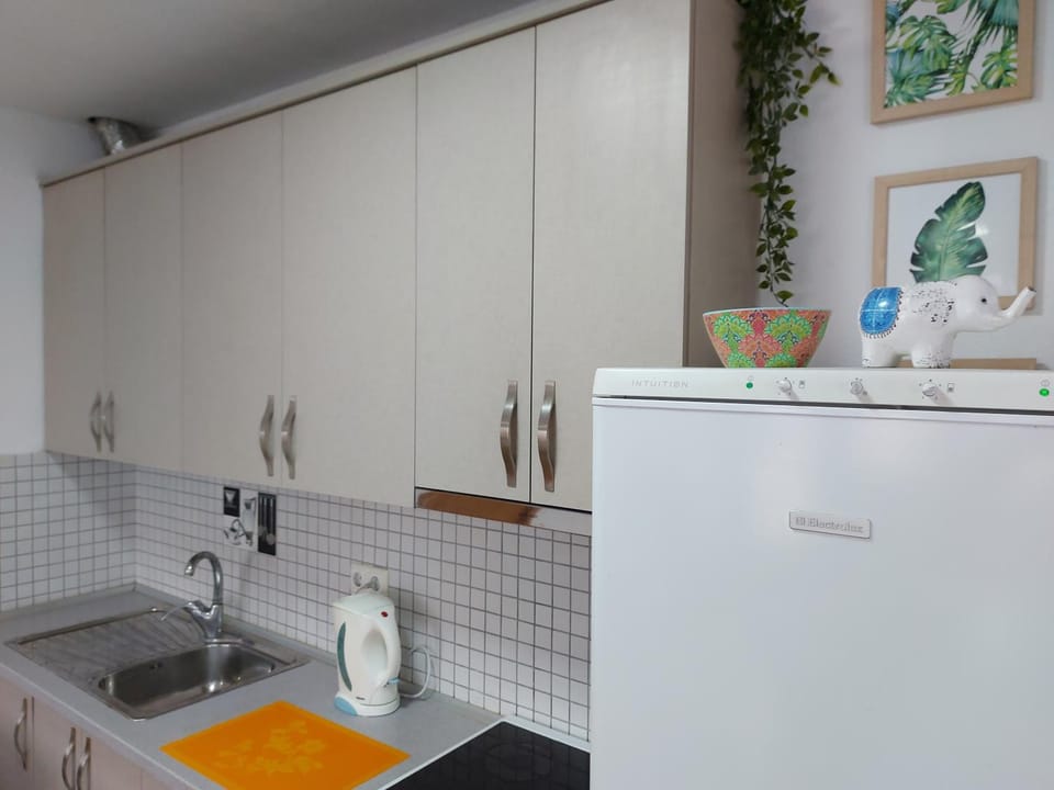 Kitchen or kitchenette, kitchen