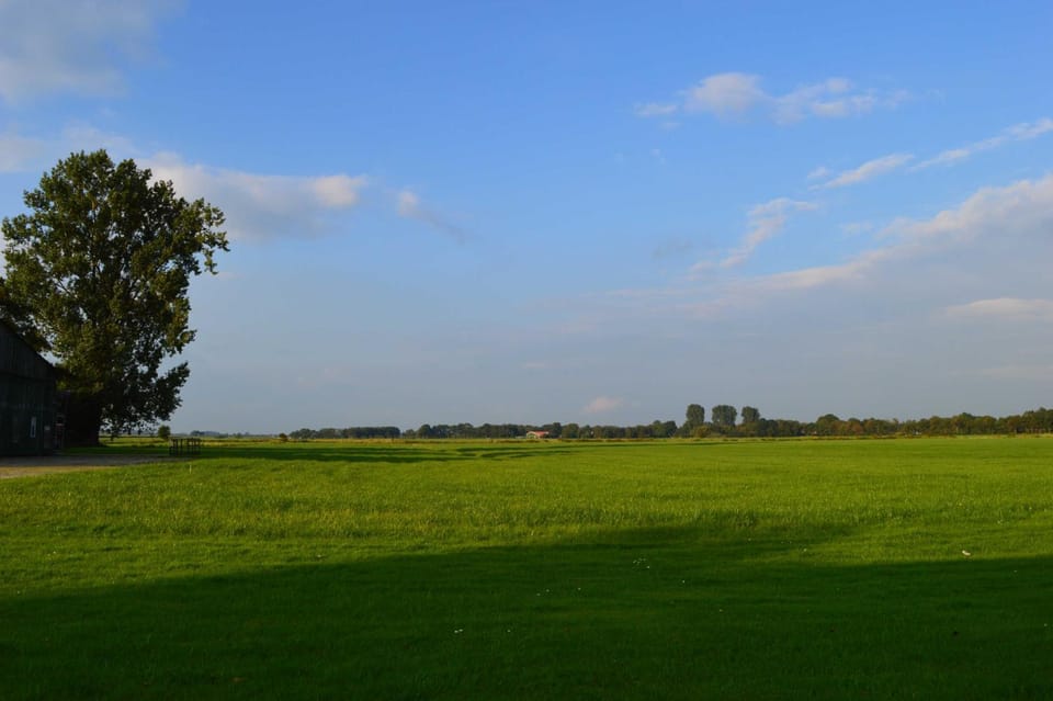Natural landscape