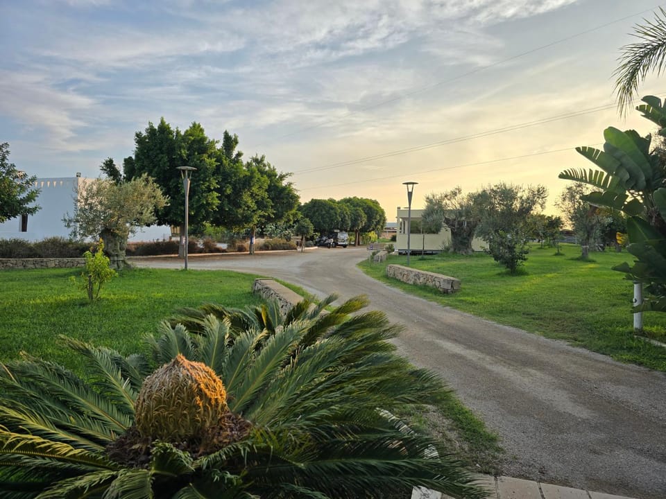 Natural landscape, Garden, Garden view