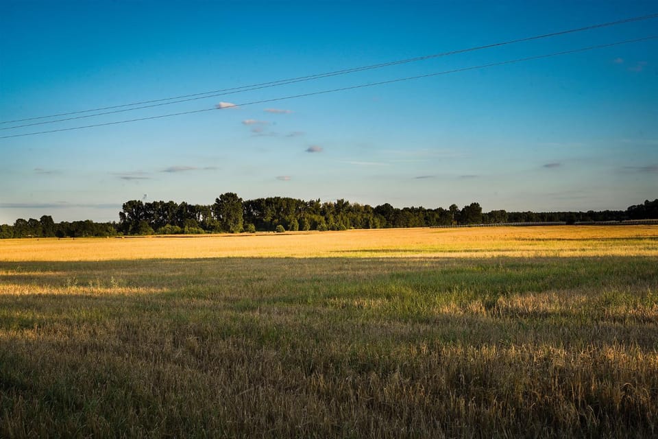 Natural landscape