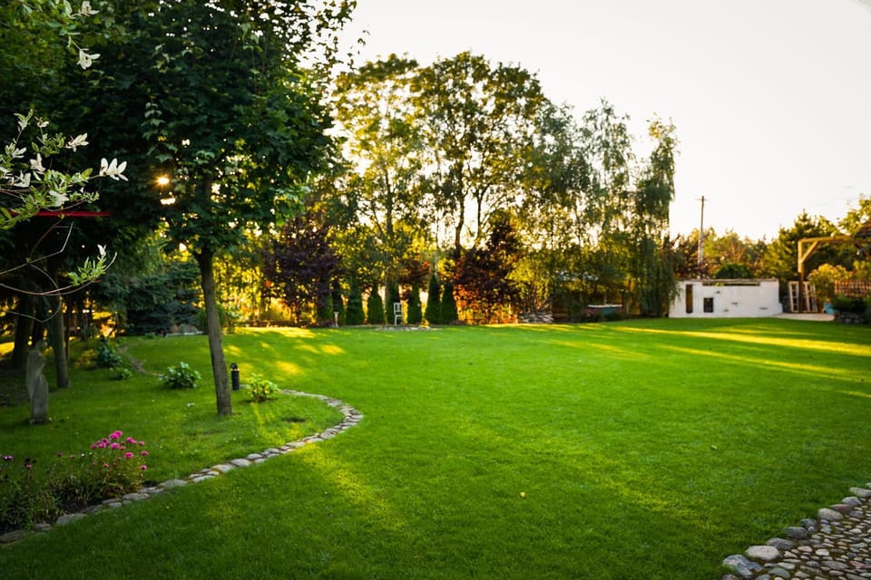 Natural landscape, Garden, Garden view