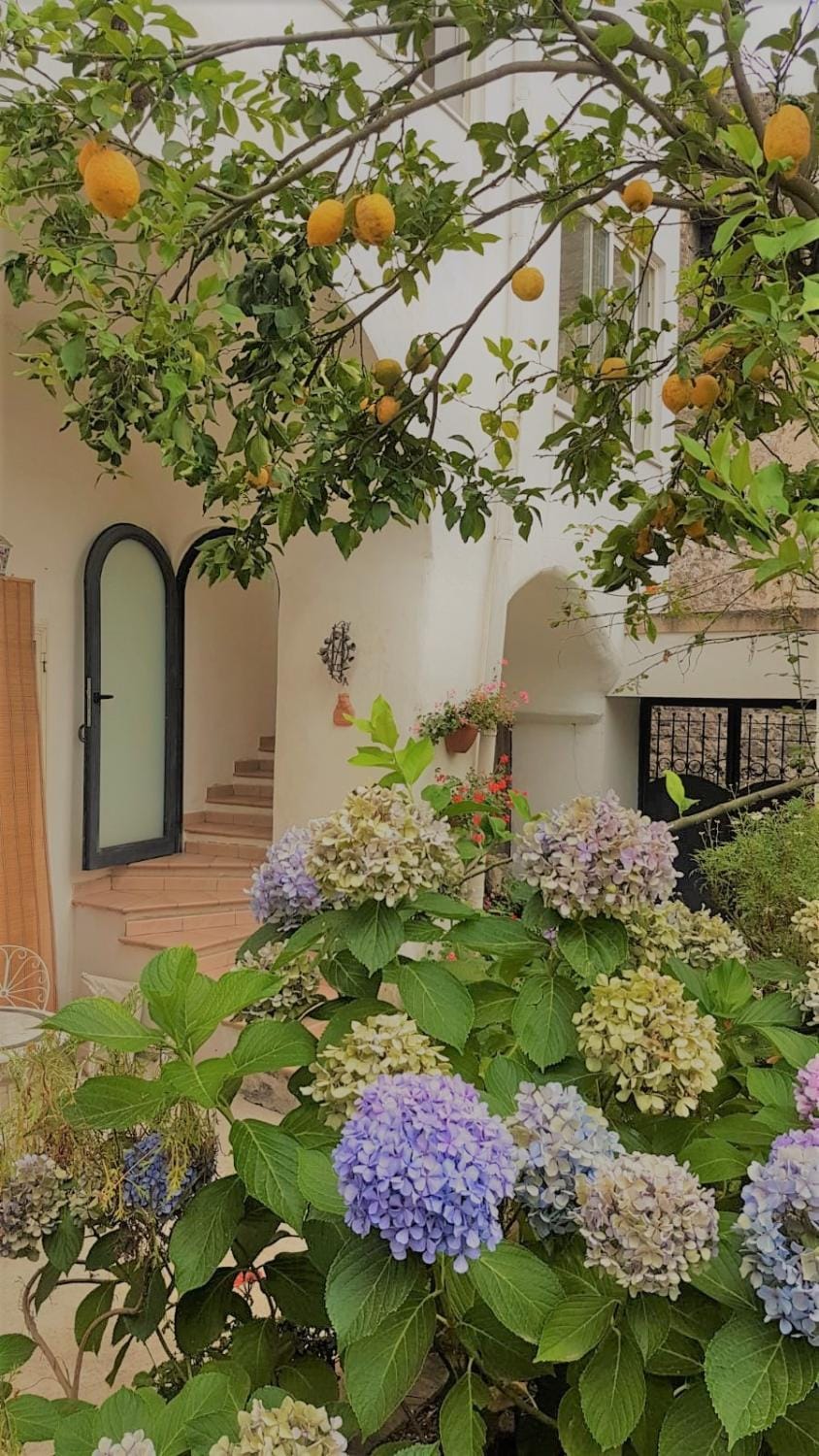 Patio, Facade/entrance, Garden, Quiet street view