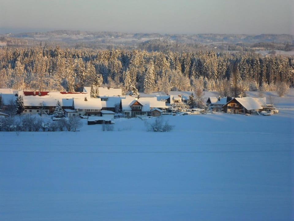 Neighbourhood, Natural landscape, Winter, Hiking