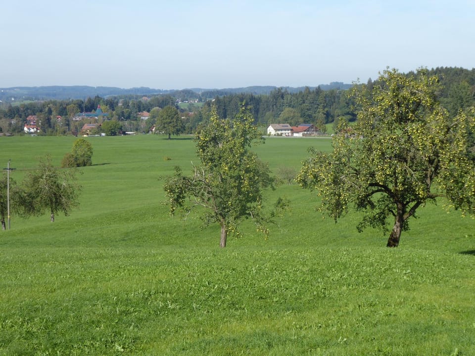 Natural landscape, Garden, Hiking