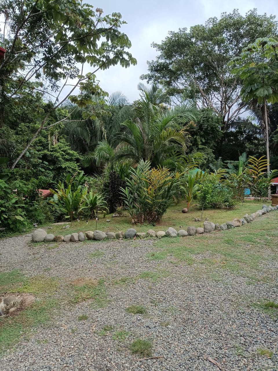 Selva Linda Lodge jungle wildlife vue and birdwatching Bed and Breakfast in Quepos