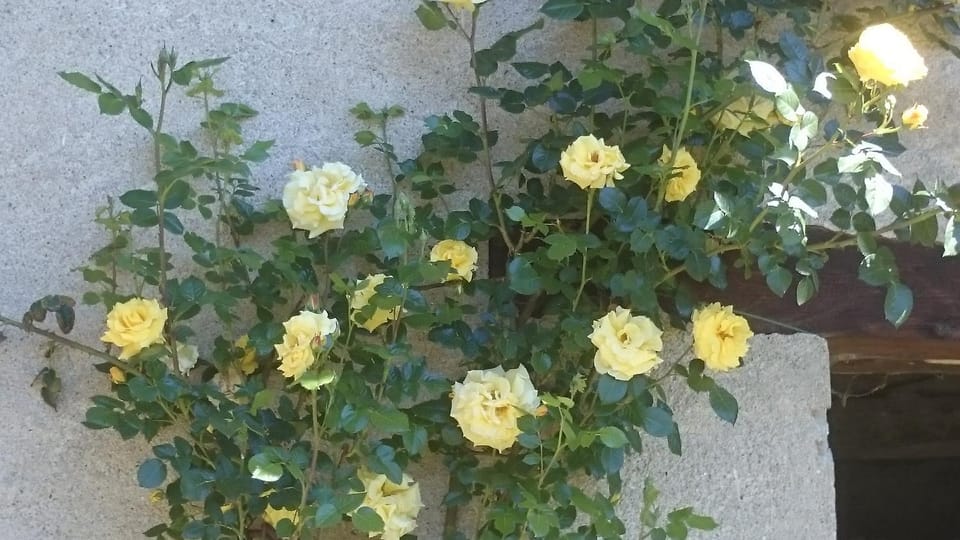 B&B Barbaia Bed and Breakfast in Liguria