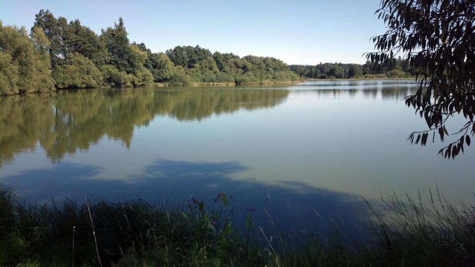 Lake view