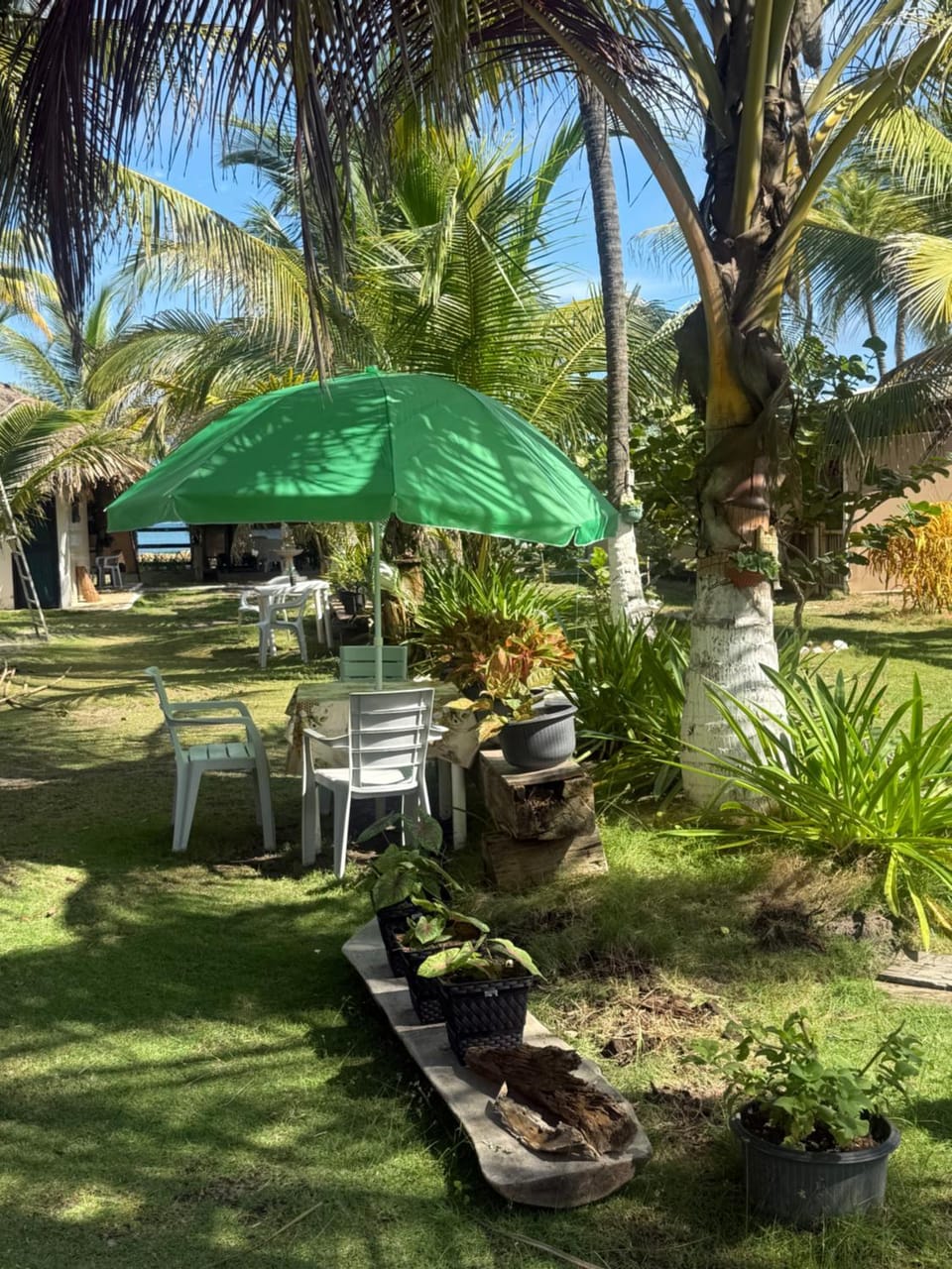 Garden view