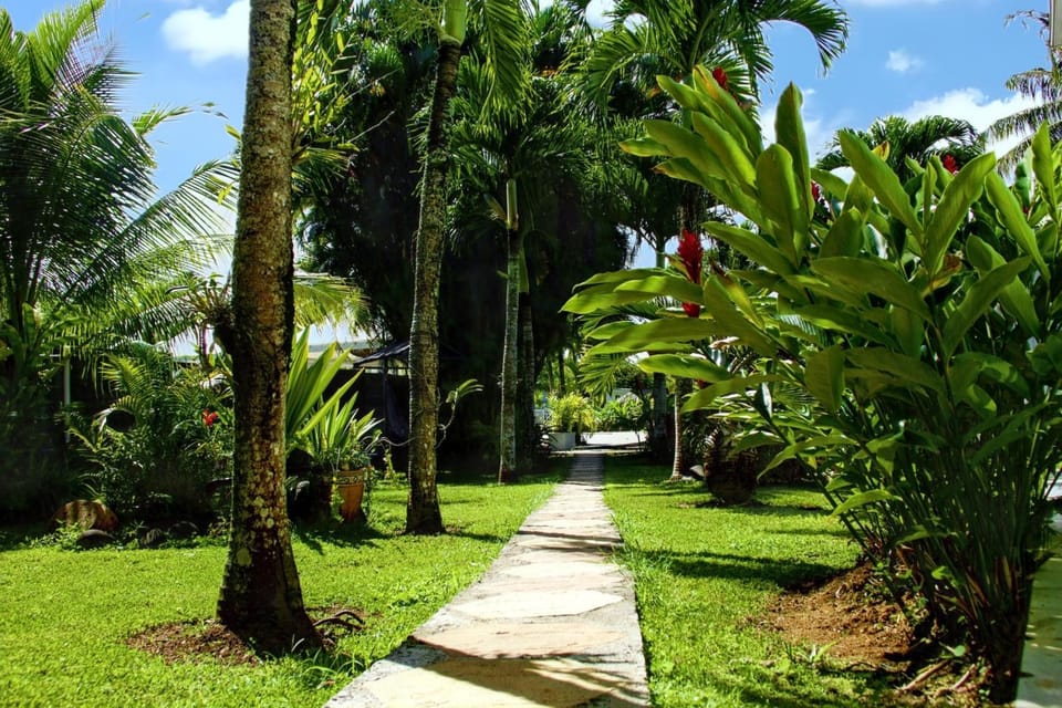 Garden