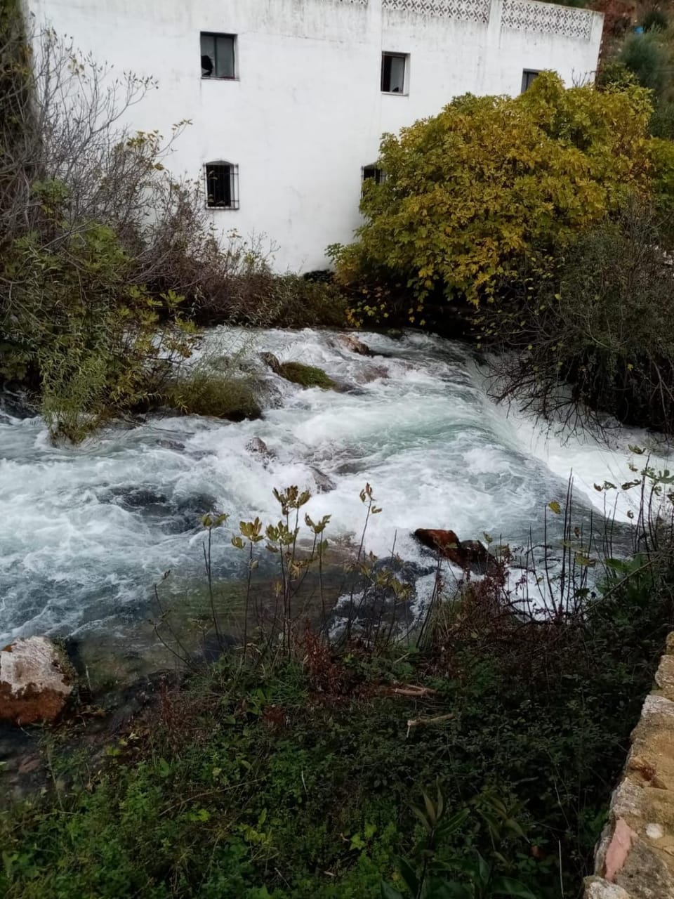 Casa Lucía y Clara benaojan House in Sierra de Cádiz