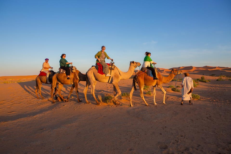 Day, People, Natural landscape, Animals, group of guests