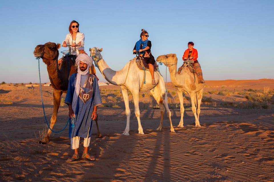 Day, People, Natural landscape, Animals, group of guests