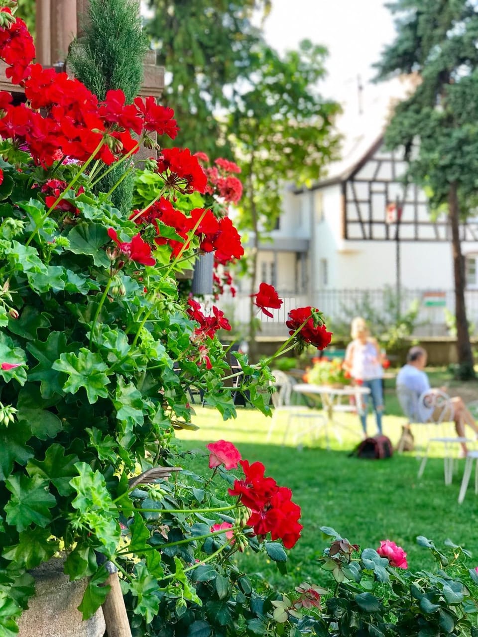 Garden, Garden view