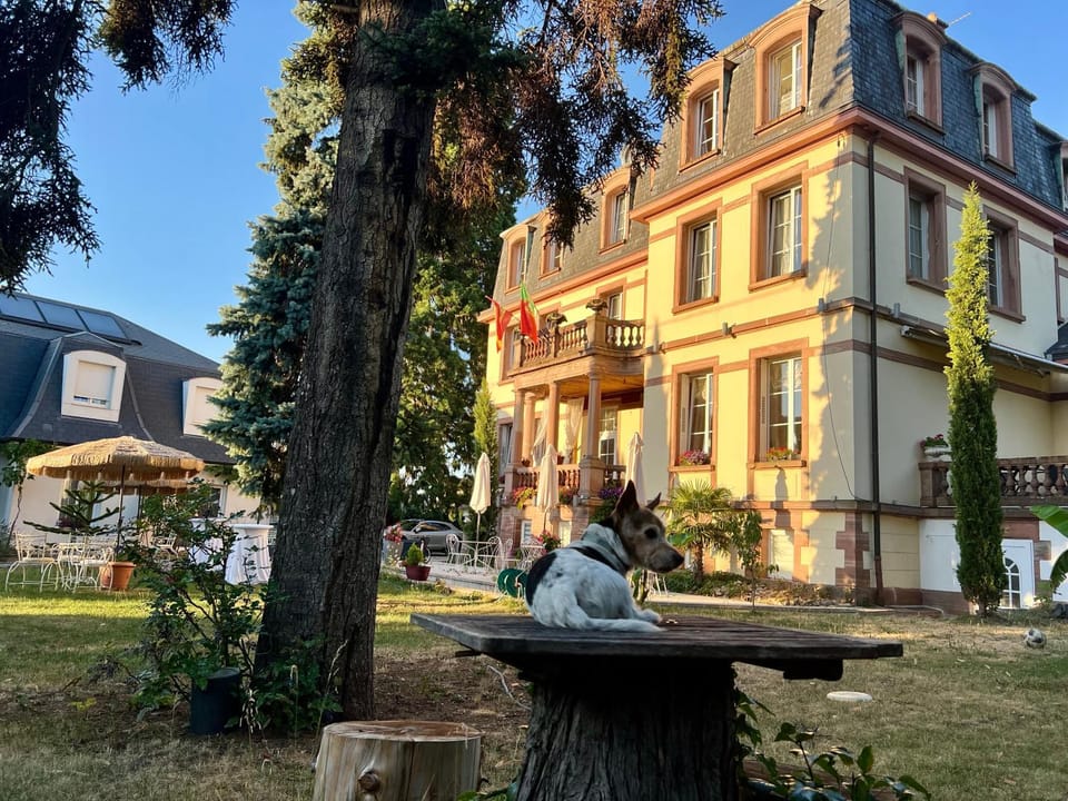 Hôtel Le Manoir Hotel in Grand Est