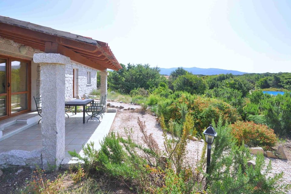 Patio, Garden