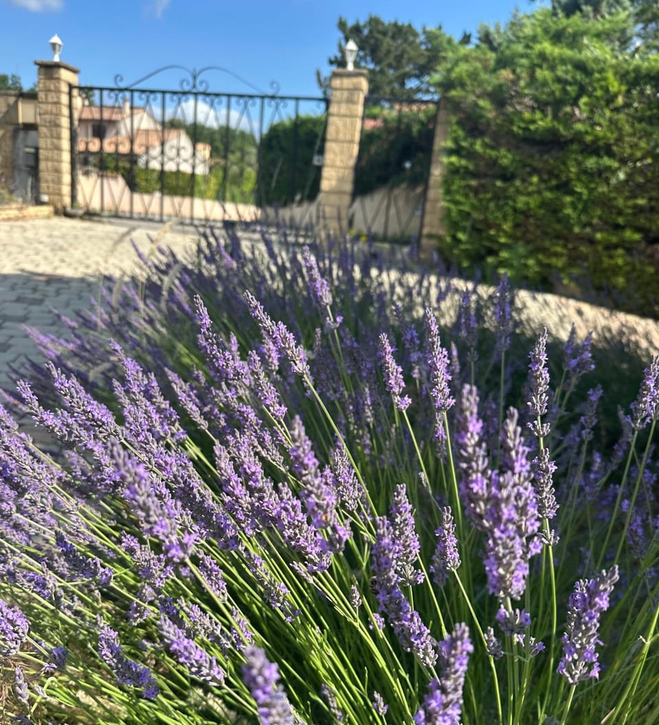 LES CLÉMATITES Apartment in Provence