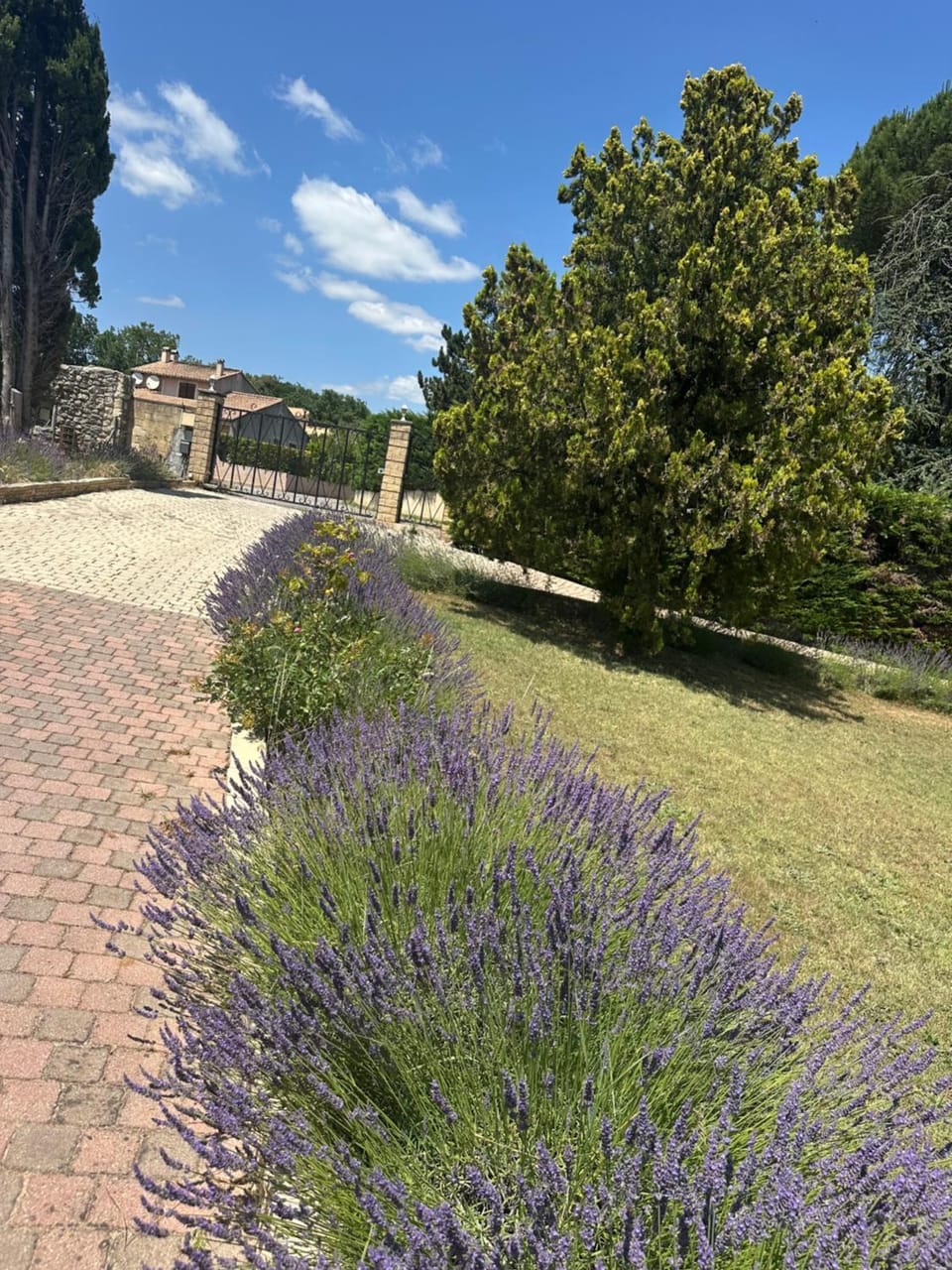 LES CLÉMATITES Apartment in Provence
