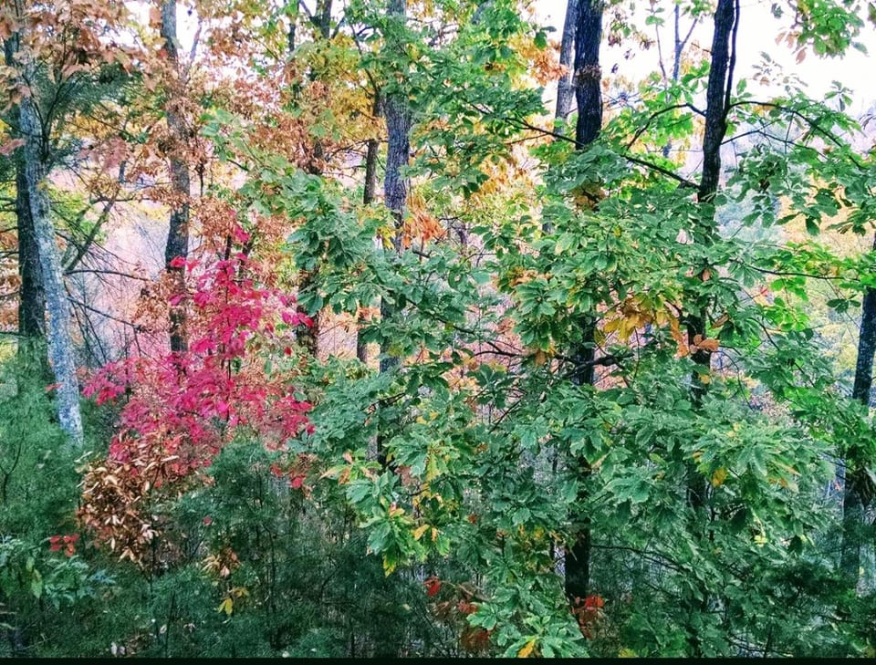 Balsam Mist Lodge Chalet in Pigeon Forge