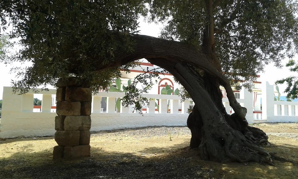 Lama Cupa Bed and Breakfast in Apulia