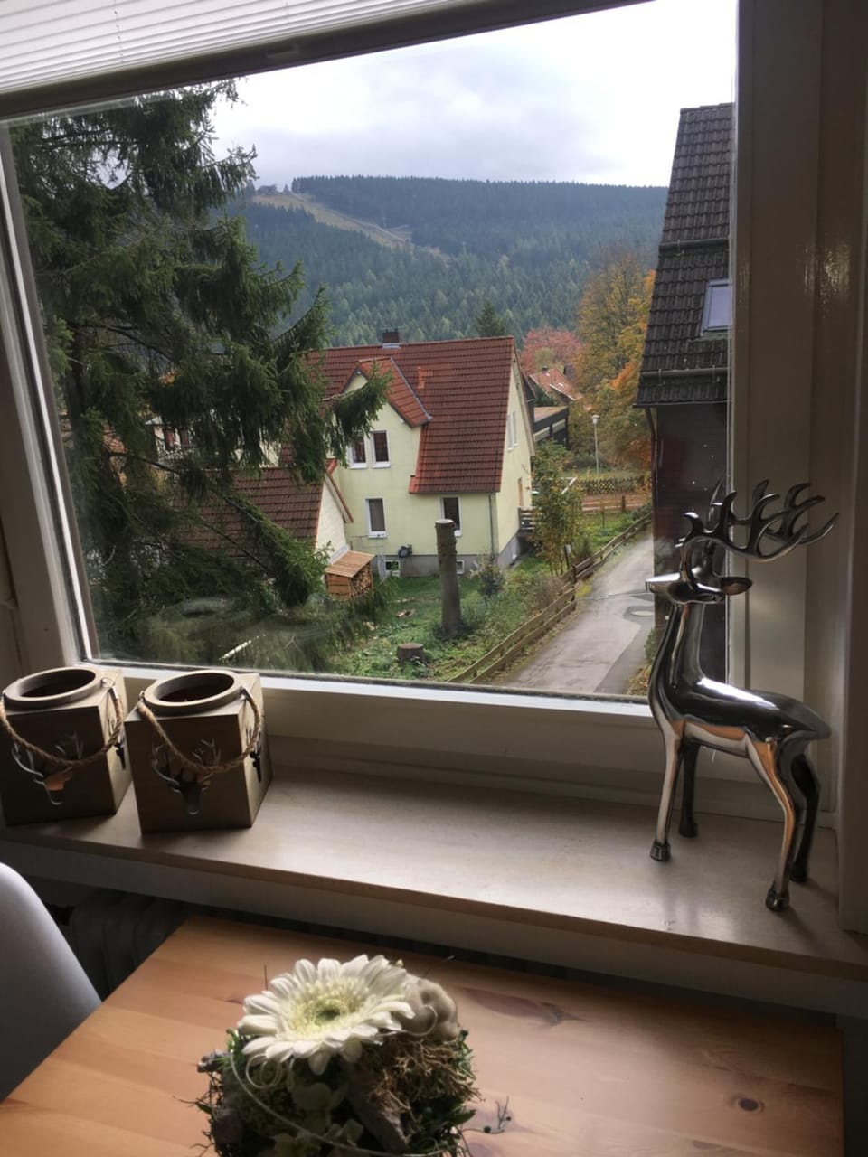 Ferienwohnung Fuchsbau Apartment in Goslar