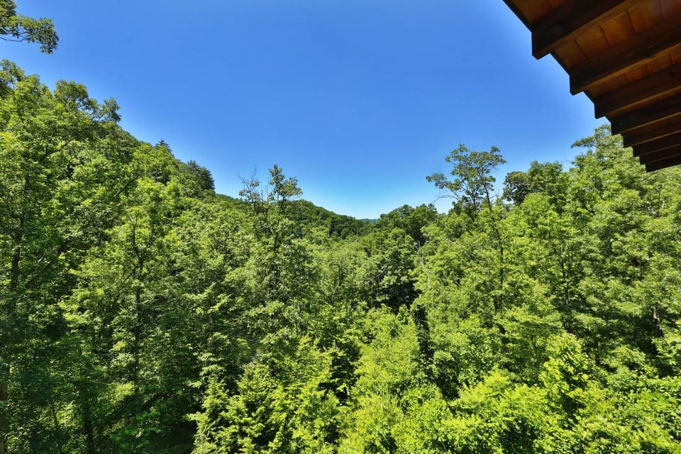 Fox Den House in Pigeon Forge