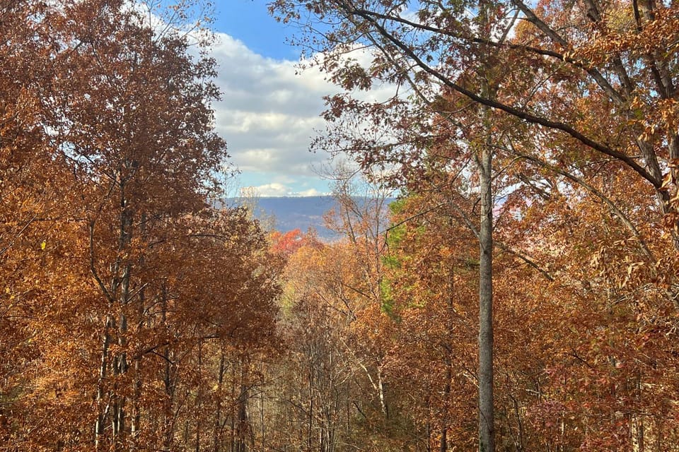 Bear Crossing House in Pigeon Forge