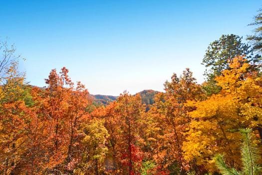 Shooting Stars Chalet in Pigeon Forge