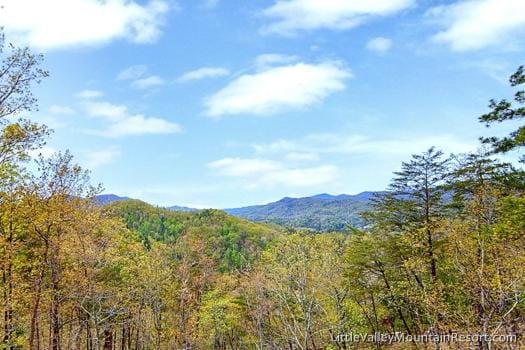 Snowshoe Lodge Chalet in Pigeon Forge