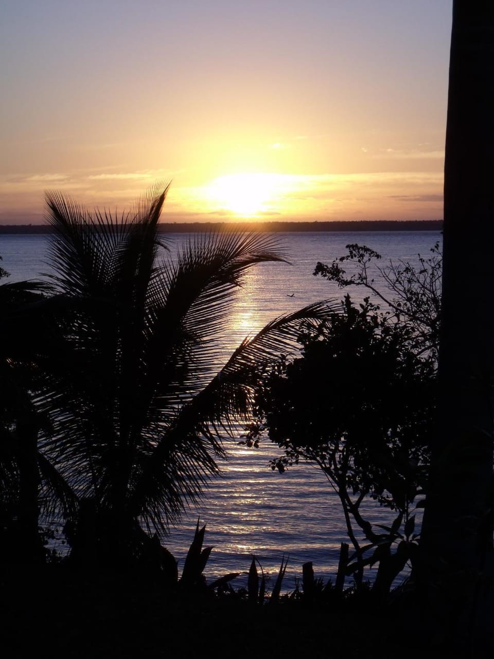 Agave-Blue Bed and Breakfast in State of Quintana Roo