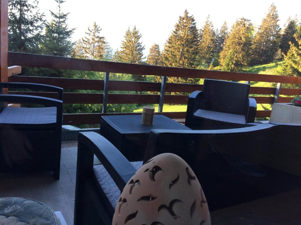 Anzère skis - promenade Apartment in Canton of Valais