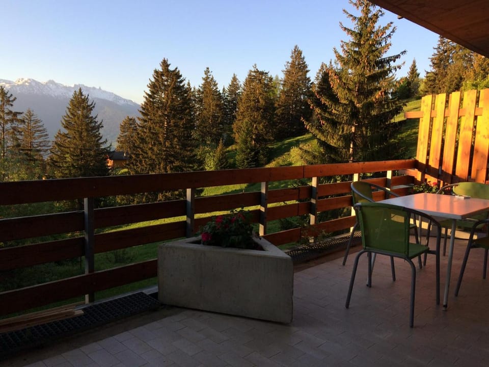 Anzère skis - promenade Apartment in Canton of Valais