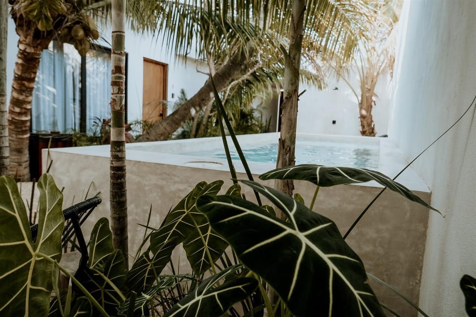 Garden view, Pool view