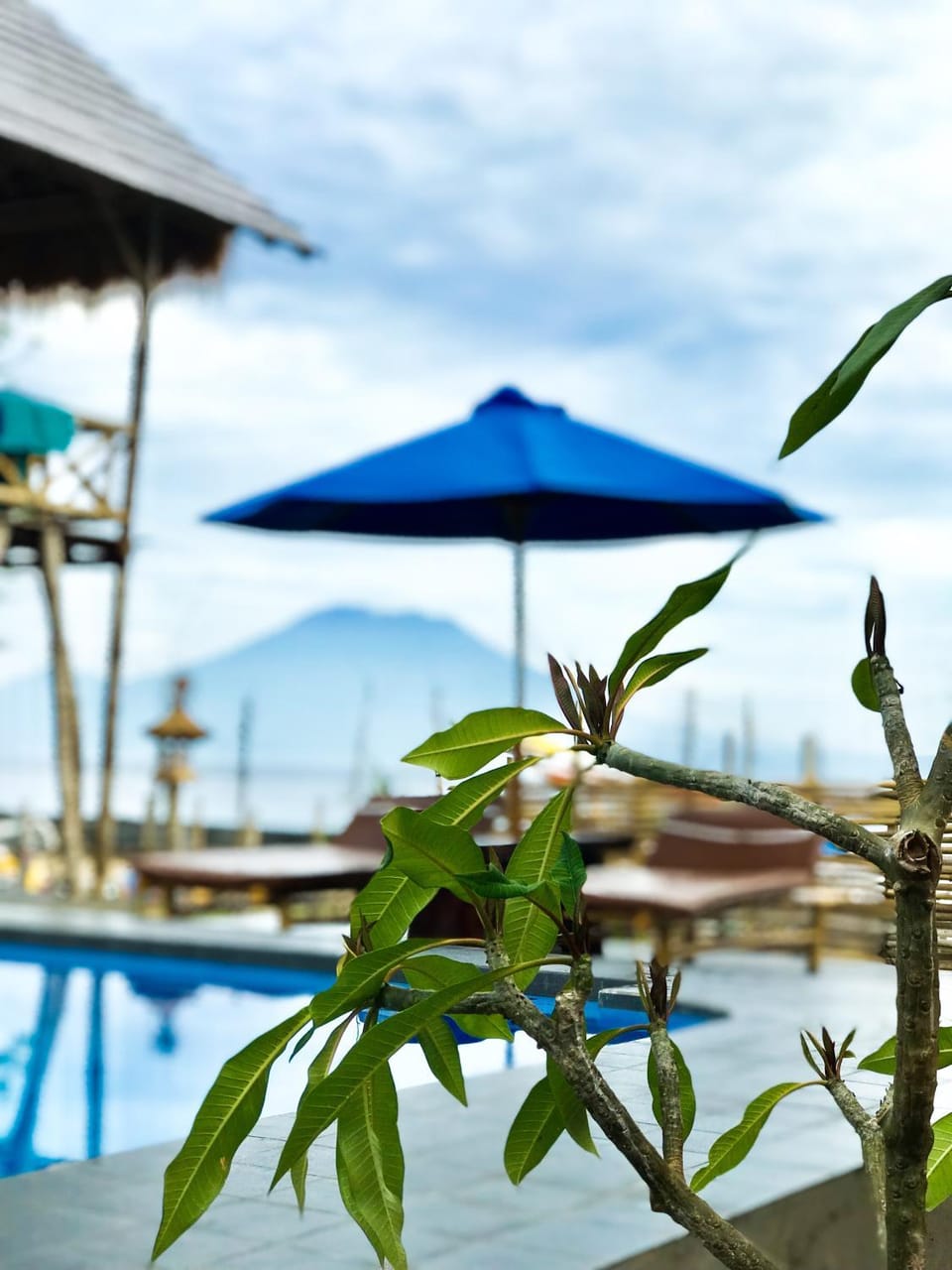 Pool view, Swimming pool
