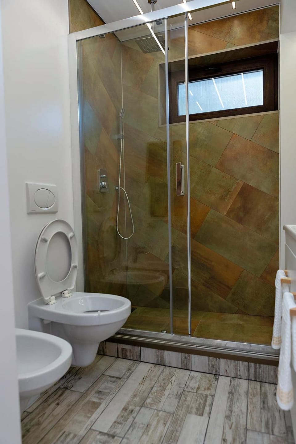 Shower, Toilet, bidet, towels
