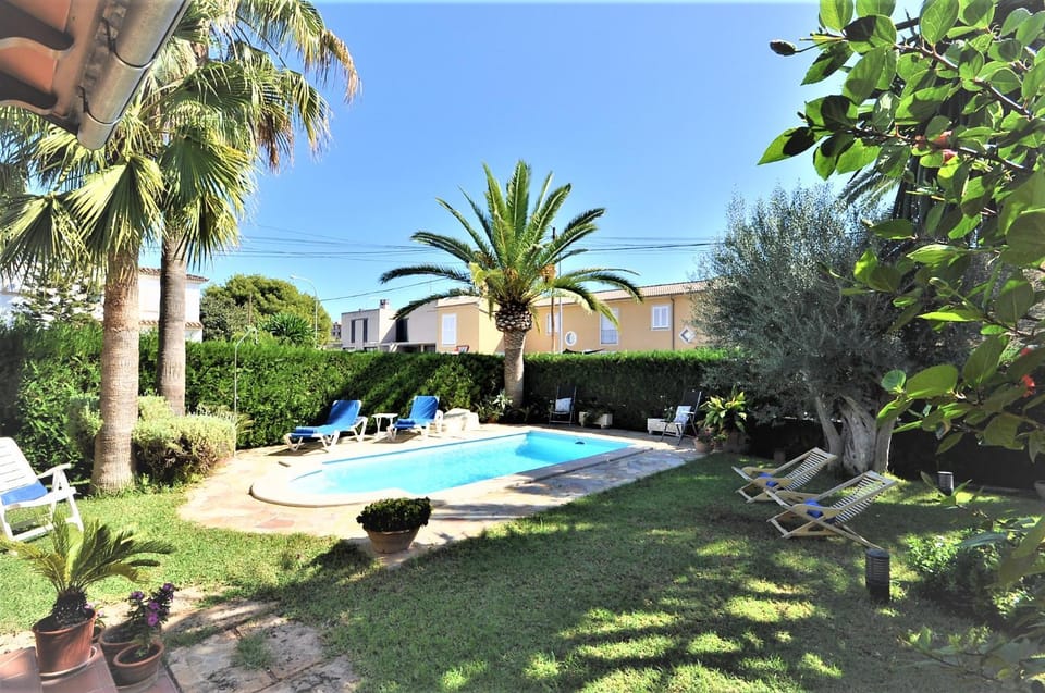 Garden, Pool view, Swimming pool
