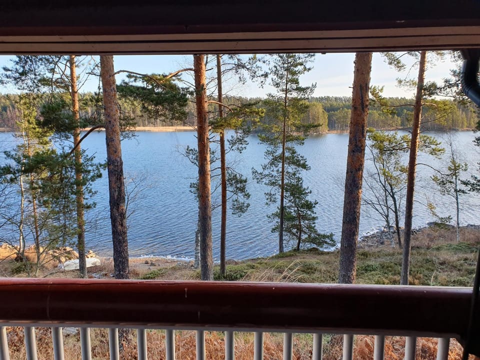 Lake view