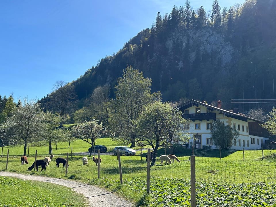 Alpaka-Hof Landinger Apartment in Aschau im Chiemgau