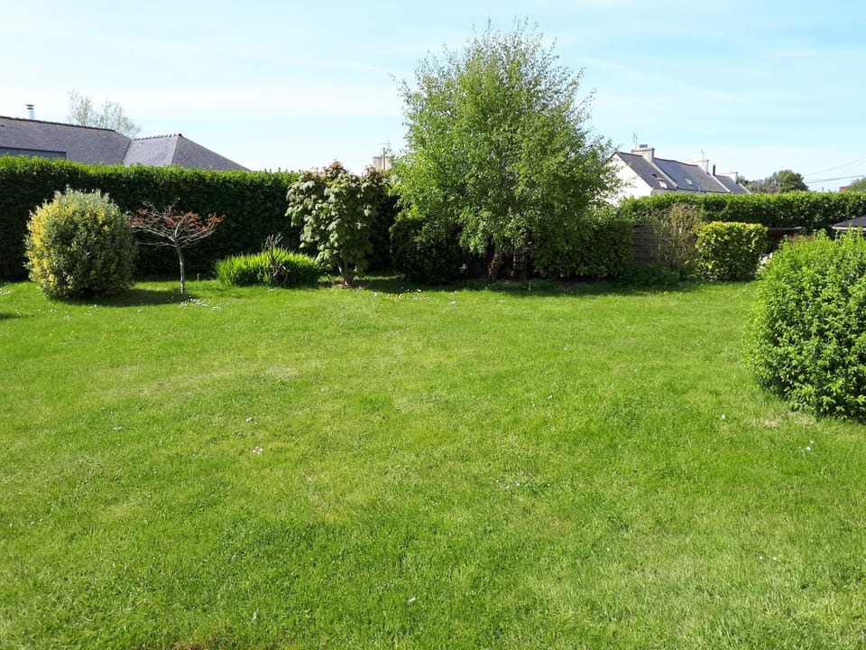 Garden, Garden, Garden view, Garden view