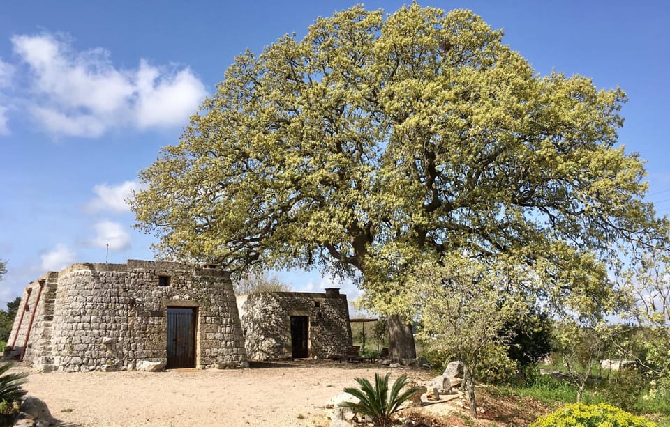 Facade/entrance, Spring, Day, Garden, Other, Garden view