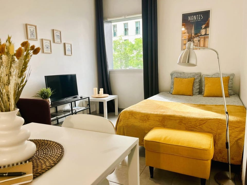 Le Petit Tryo – Studio lumineux, Gare Sud Apartment in Nantes