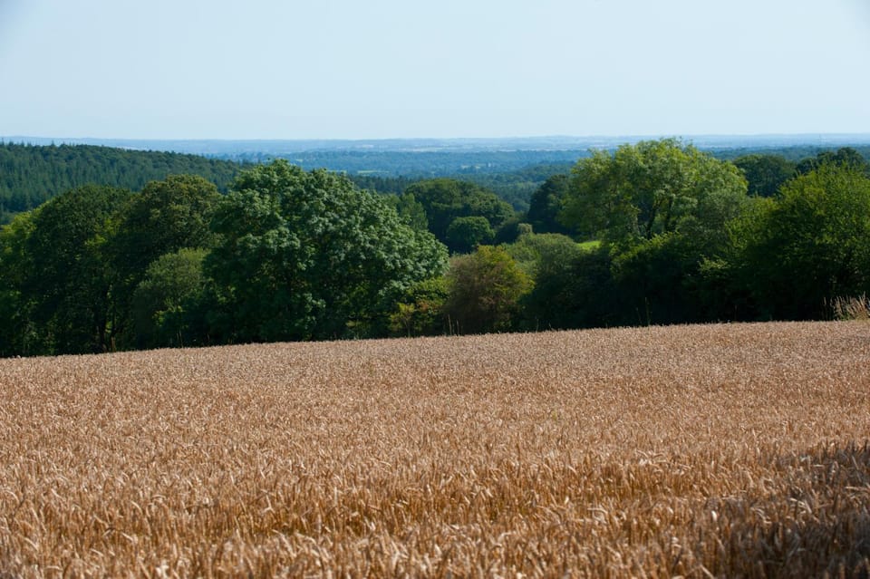 Natural landscape