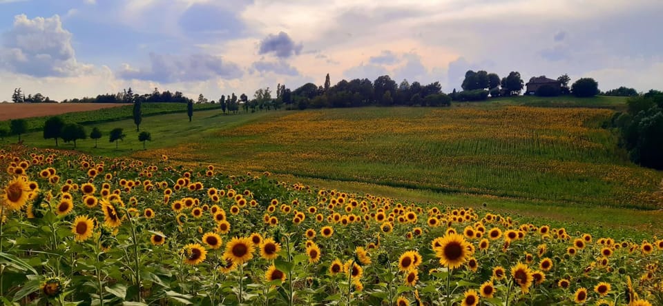 Day, Natural landscape