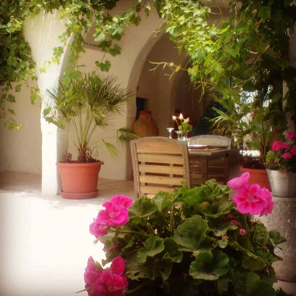 Hôtel Arischa Hotel in Tunisia