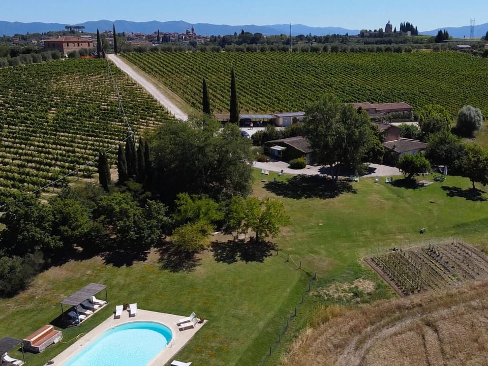 Day, Natural landscape, Bird's eye view, Garden, Solarium, Garden view, Swimming pool